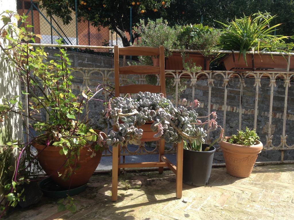 Guest House Trevignano Romano Exterior foto